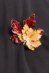 Reign-Maple